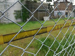 20200604e.JPG
