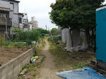 20200606c.JPG