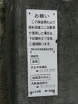 20200607g.JPG