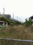 20200607h.JPG