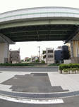 20200608c.JPG