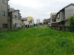 20200608e.JPG