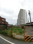 20200608g.JPG