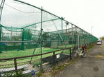 20200609c.JPG