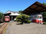 20200611h.JPG