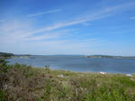 20200614g.JPG