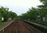 20200616g.JPG
