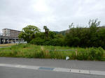20200620a.JPG