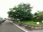 20200621c.JPG