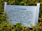 20200710c.JPG