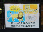 20200710j.JPG