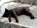 20200711f.JPG