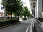 20200715e.JPG