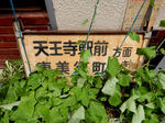 20200715g.JPG