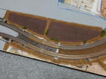 20200829f.JPG