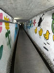 20201030i.JPG