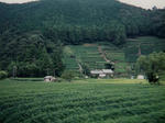20210424b.JPG