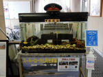 20221010e.JPG