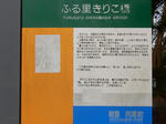 20221027i.JPG