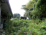 20221028d.JPG