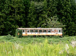 20221108f.JPG