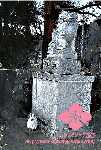 flier20-1.gif