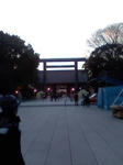 L7050031.JPG