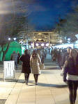 L7050041.JPG