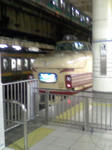 L7050055.JPG