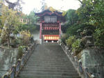 ohira6.jpg