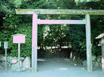 ise85.jpg