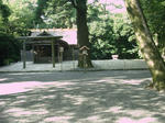 ise84.jpg
