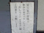 icho05.jpg