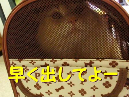 711434fe.jpeg
