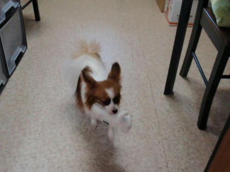 PC150175.JPG