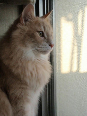 PC040225.JPG
