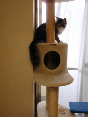 PC050694.JPG