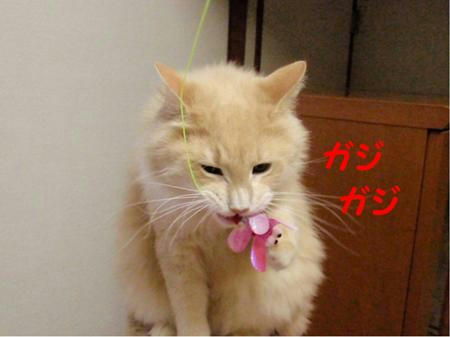 11733f10.jpeg