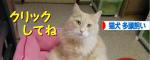 64517cd8.jpeg