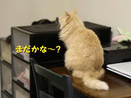 316082b0.jpeg