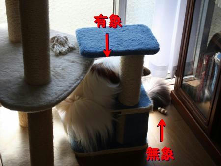 4ad94271.jpeg