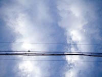 空