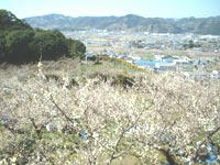 梅林