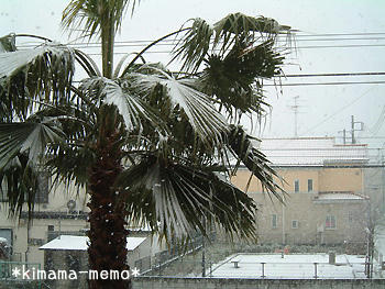 吹雪・・・
