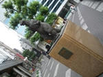 0204d0d0.JPG