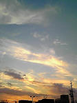 090910_1751~01.JPG