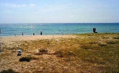 200908241009000.jpg