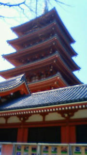 201103291138000.jpg