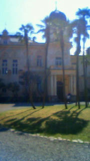 201103281248000.jpg