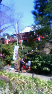 201103281130000.jpg